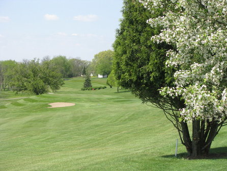 Apple Canyon Lake Golf Course photo