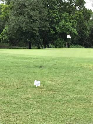 Austin Bayou Golf Course photo