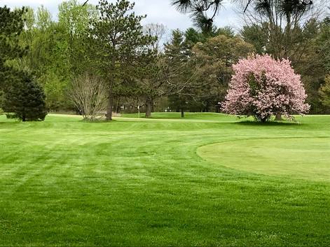 Barney Road Golf Course photo