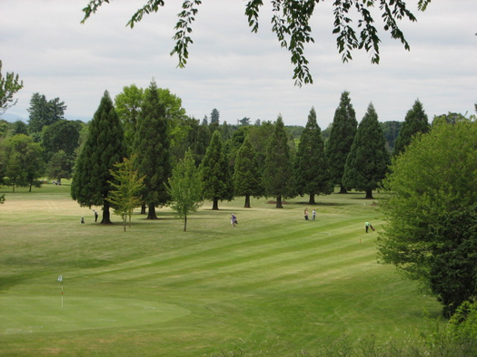 The Nines Golf Course photo