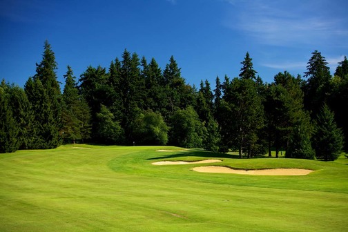 Bellevue Crossroads Par 3 Golf Course photo