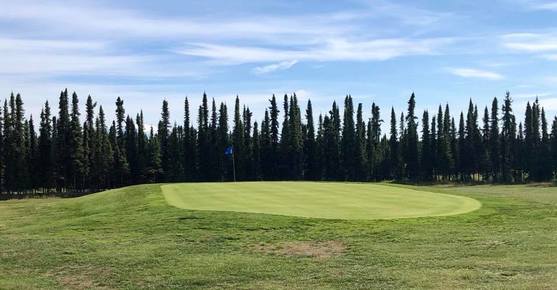 Bird Homestead Golf Course photo