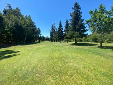 Blackberry Farm Golf Course photo