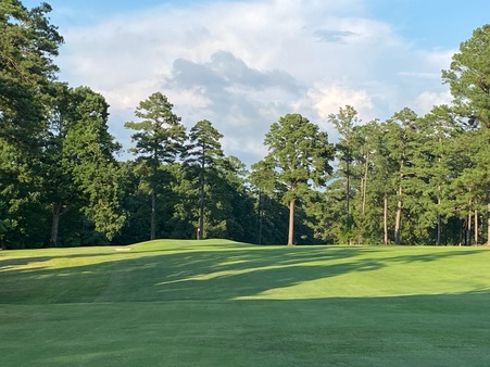 Brunswick Country Club photo