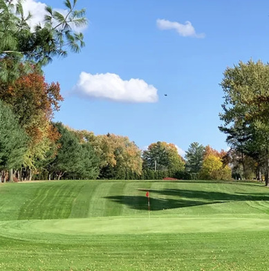 Buhl Park Golf Course photo