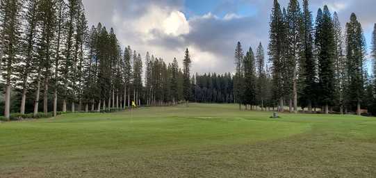 Cavendish Golf Course photo