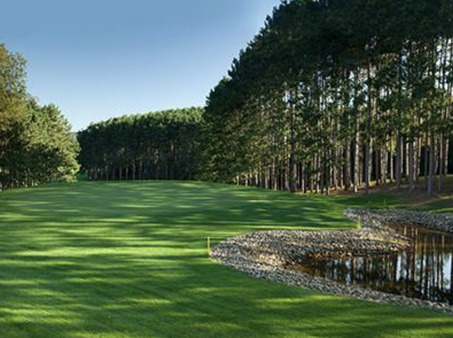 Christmas Mountain Village - The Pines Course photo