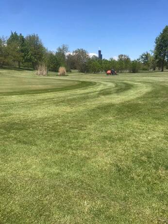 Collins Park Golf Course photo