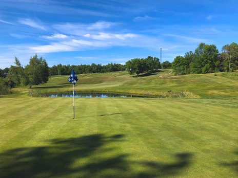 Dexter Municipal Golf Course photo