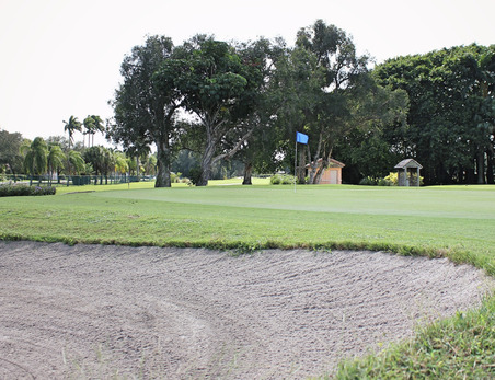 Eco Golf Club photo