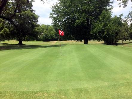 Elmwood Golf Course photo