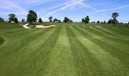 Family Sports Golf Course photo