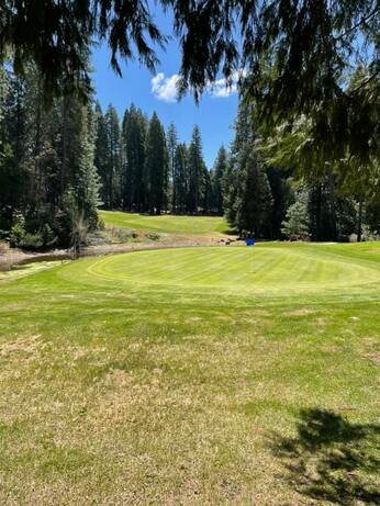 Forest Meadows Golf Course photo