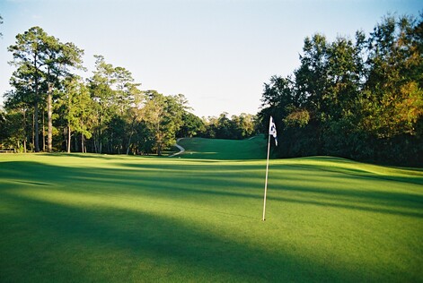 Gulf Hills Golf Club photo