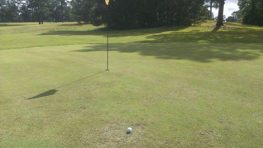 Hogansville Golf Club photo