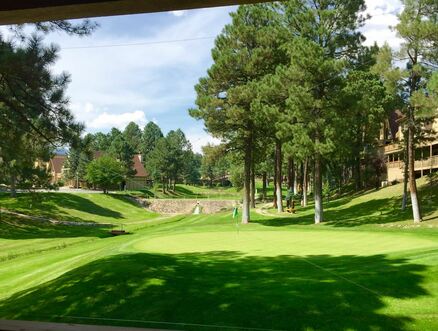 Innsbrook Village Golf Course photo