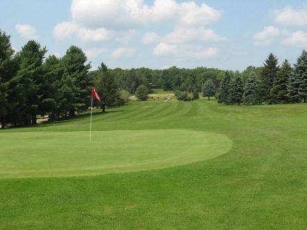 Lake Lorain Golf Course photo