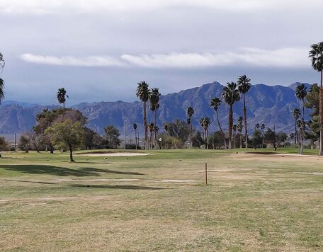 Lake Tamarisk Golf Course photo