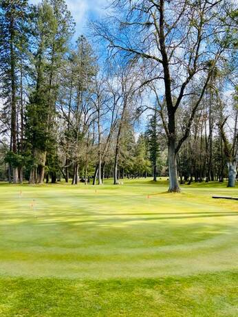 Laurel Hill Golf Course photo