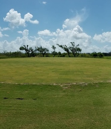 Live Oak Country Club photo