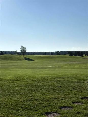 LynnDale's Golf Course photo