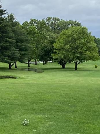 Oakleaf Country Club photo