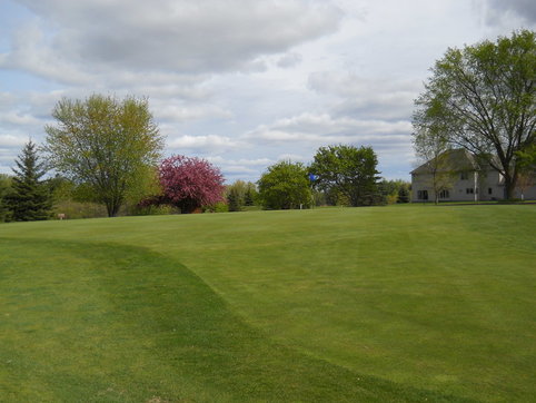 Pine City Country Club photo