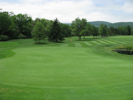 Polish Pines Golf Course photo