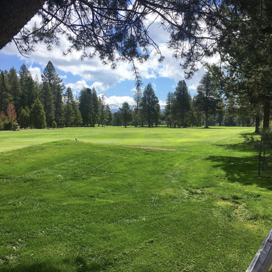 Ponderosa Golf Course photo