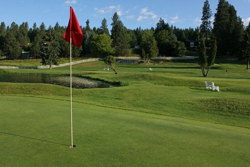 Ponderosa Springs Par 3 Golf Course photo