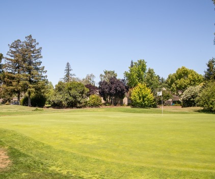 Pruneridge Golf Club photo