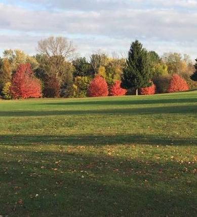 Quincy Golf Course photo