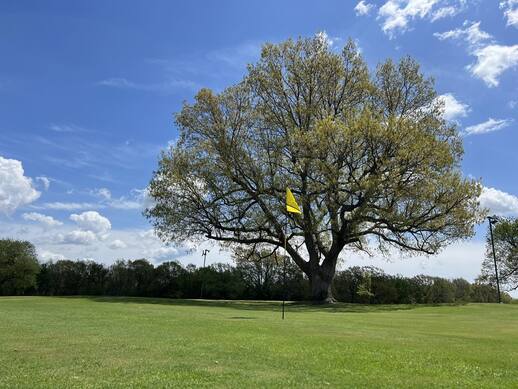Rangeline Golf Center photo