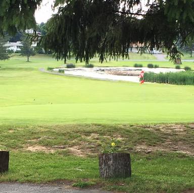 Richland Greens Golf Course photo