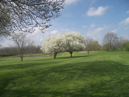 Riverton Golf Club photo