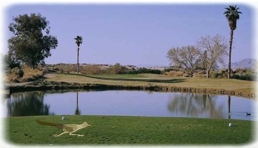 Roadrunner Dunes Golf Course photo