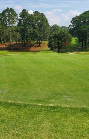 Selmer Golf & Country Club photo