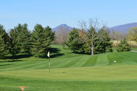 Shenvalee Golf Resort photo
