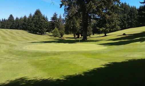 Springwater Golf Course photo