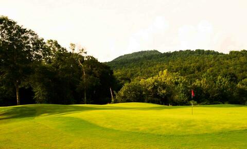 Sweetens Cove Golf Club photo