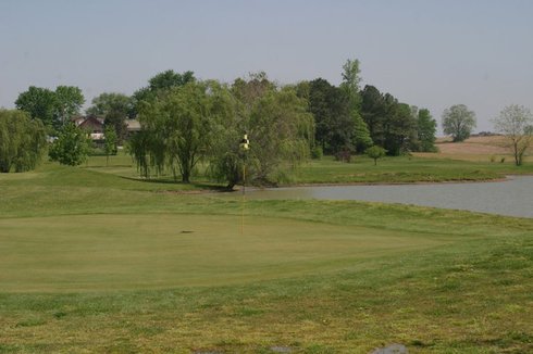 Tee Time Golf Complex photo