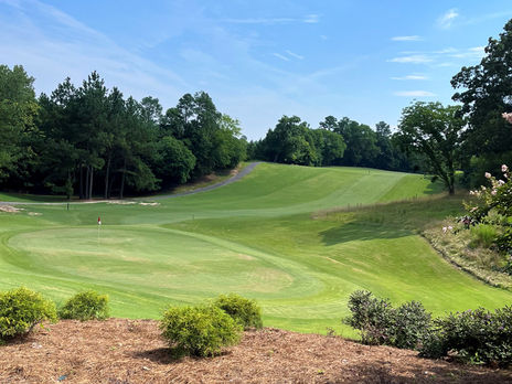 Tega Cay Golf Club - The Cove 9 photo