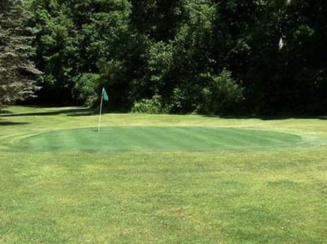 Tessler's Golf Course photo
