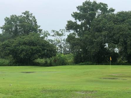 The Belleview Golf & Country Club photo