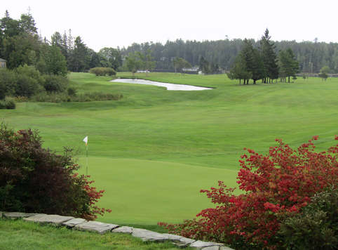 The Causeway Club photo