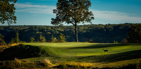 The Course at Sewanee photo