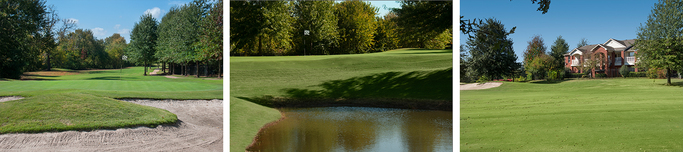 The Greens on Blossom Way Golf & Country Club photo