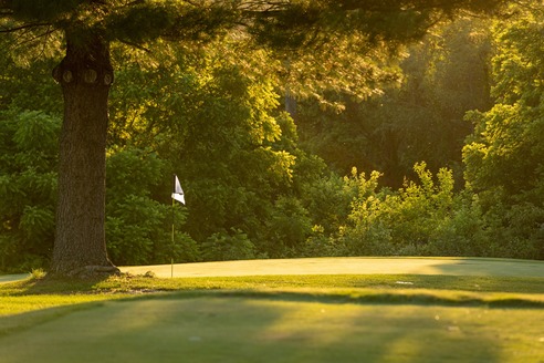 Tiger Pointe Country Club photo