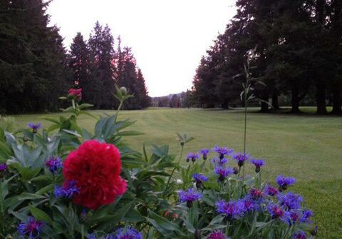 Vernonia Golf Club photo