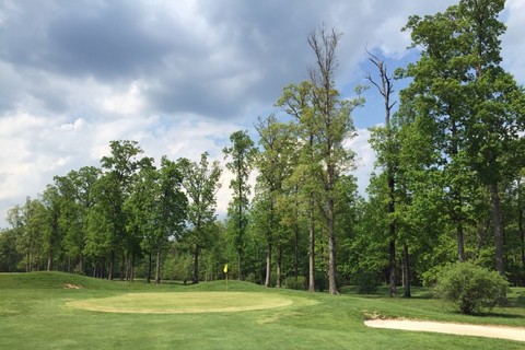 Virginia Golf Center - Short Course photo